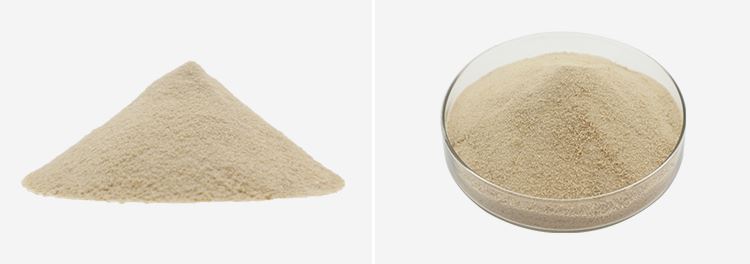 Hydroxytyrosol Powder 2 Hydroxytyrosol Powder 2