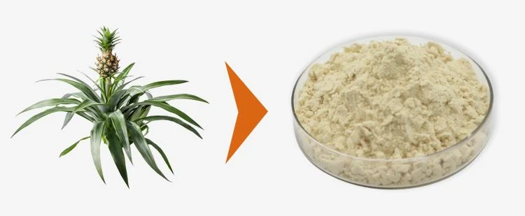 Bromelain Powder Bulk 1 Bromelain Powder Bulk 1