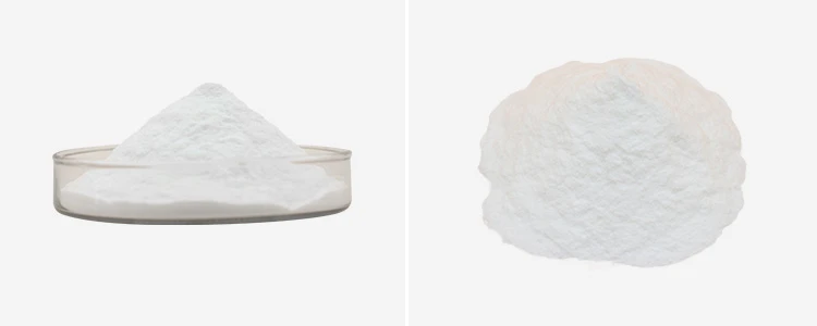 Papain Enzyme Powder 2 Papain Enzyme Powder 2