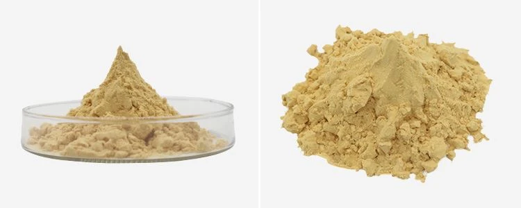 Chitosan Oligosaccharide Powder 2 Chitosan Oligosaccharide Powder 2