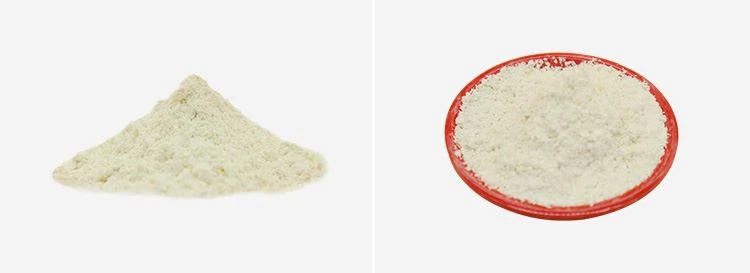 Ferulic Acid Powder 2 Ferulic Acid Powder 2
