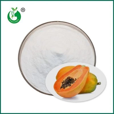 pó papain orgânico
