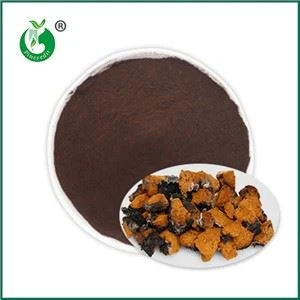 Pó de Extrato de Chaga