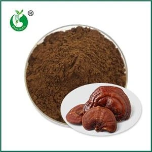 Efeitos e contra-indicações do pó de esporos de Ganoderma