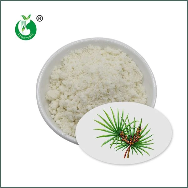 Extrato em pó de Saw Palmetto