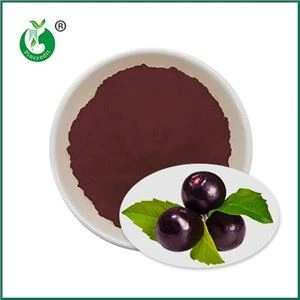 Pó de suco de Açaí Berry