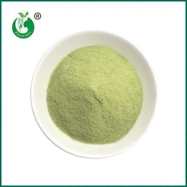NOVIDADE: Pó Matcha Latte
