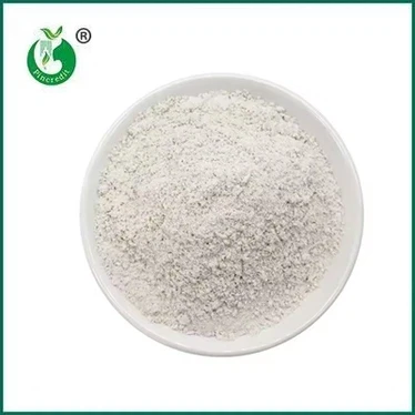 O resveratrol pode reverter o envelhecimento?