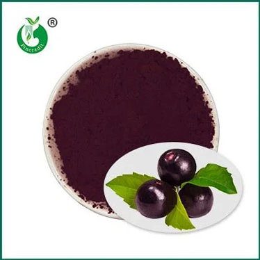 Açaí puro é bom para você?