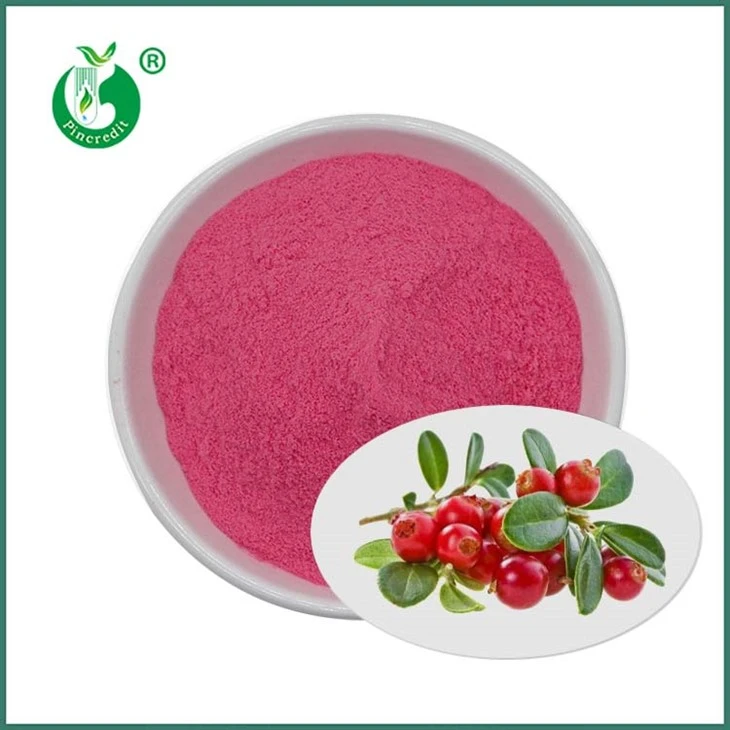 Pó de suco de cranberry