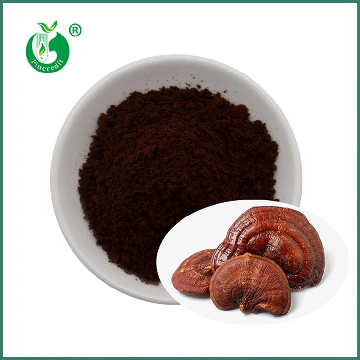 Pó de esporo reishi