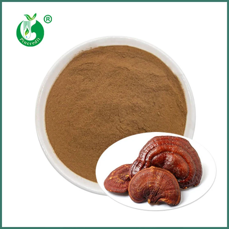 Pó de extrato de Reishi