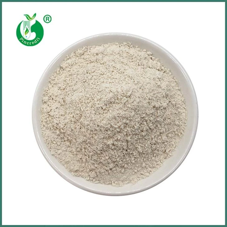 Pó de resveratrol trans