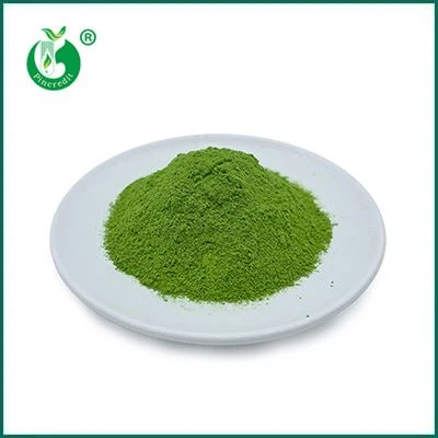 Matcha Chá Verde em Pó