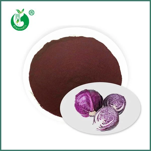 Pó de suco de repolho roxo