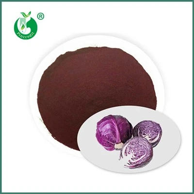 Pó de suco de repolho roxo